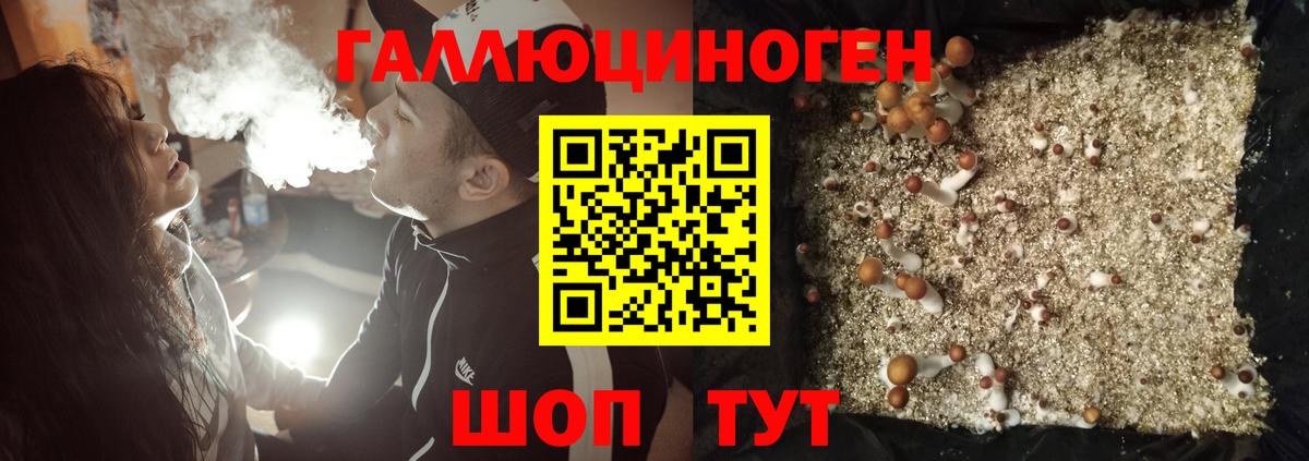 Галлюциногенные грибы Psilocybine cubensis  Вход с VPN  Мелеуз 